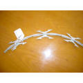 PVC Coated Galvanized Concertina Barbed Wire (XA-RW004)